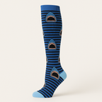 Clinical Compression – Shark Attack